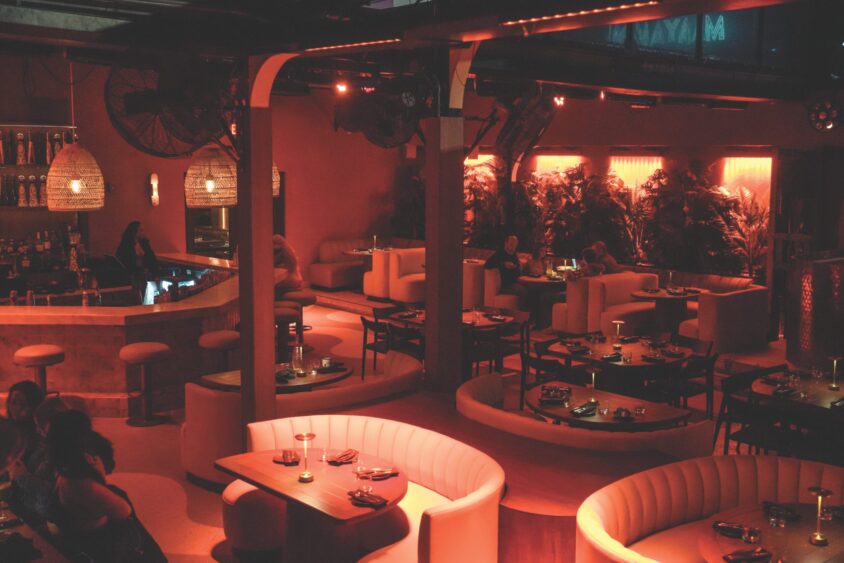 A dimly lit lounge with curved white booths, round tables, and a bar area. Warm orange-red lighting sets a cozy mood for the April Flavor Files, as guests relax among lush plants lining one wall. Lifestyle